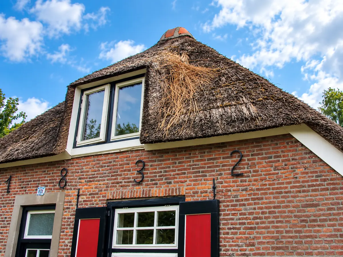 Uitgetrokken riet boven een dakkapel